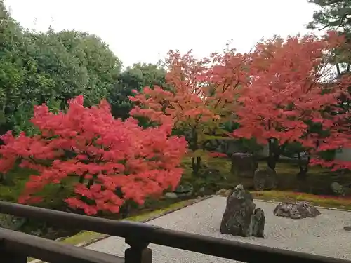 相国寺（相国承天禅寺）の庭園