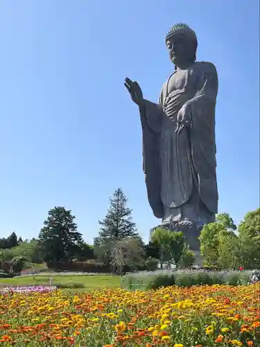 東本願寺本廟 牛久浄苑（牛久大仏）(茨城県)