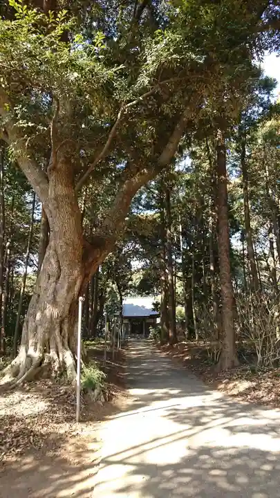 面足神社の自然