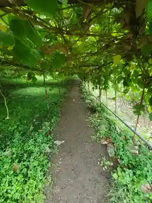 遍照寺(埼玉県)