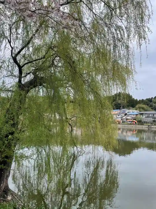 厳島神社 谷弁財天の{uncategorized: "未分類", other: "その他", undefined: "問題あり", building: "その他建物", grave: "お墓", sacred_gate: "鳥居", guardian: "狛犬", statue: "像", buddha: "仏像", history: "歴史", nature: "自然", garden: "庭園", animal: "動物", pagoda: "塔", temizu: "手水舎", mountain_gate: "山門・神門", sanctuary: "本殿・本堂", subordinate: "末社・摂社", art: "芸術", scenery: "景色", jizo: "地蔵", ema: "絵馬", goshuin: "御朱印", omikuji: "おみくじ", items: "授与品その他", amulet: "お守り", goshuincho: "御朱印帳", eats: "食事", festival: "お祭り", votive_dance: "神楽", shichigosan: "七五三参", wedding: "結婚式", experience: "体験その他", initially: "初詣", around: "周辺", anti_infection: "感染症対策"}