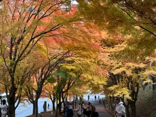 山神社(長野県)
