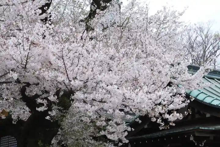 喜多院の{uncategorized: "未分類", other: "その他", undefined: "問題あり", building: "その他建物", grave: "お墓", sacred_gate: "鳥居", guardian: "狛犬", statue: "像", buddha: "仏像", history: "歴史", nature: "自然", garden: "庭園", animal: "動物", pagoda: "塔", temizu: "手水舎", mountain_gate: "山門・神門", sanctuary: "本殿・本堂", subordinate: "末社・摂社", art: "芸術", scenery: "景色", jizo: "地蔵", ema: "絵馬", goshuin: "御朱印", omikuji: "おみくじ", items: "授与品その他", amulet: "お守り", goshuincho: "御朱印帳", eats: "食事", festival: "お祭り", votive_dance: "神楽", shichigosan: "七五三参", wedding: "結婚式", experience: "体験その他", initially: "初詣", around: "周辺", anti_infection: "感染症対策"}