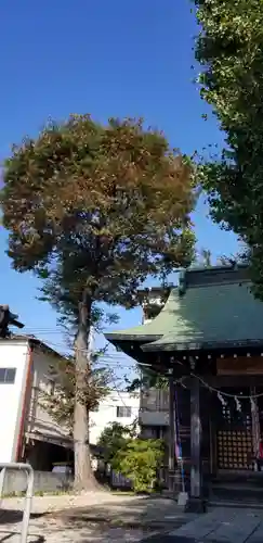 辰沼稲荷神社のその他建物