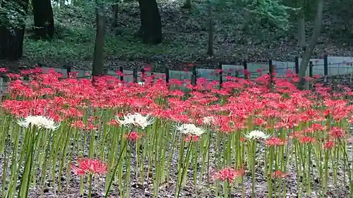 高幡不動尊　金剛寺の庭園