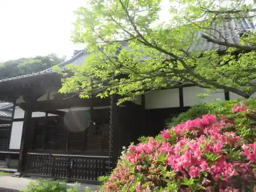 浄光明寺(神奈川県)