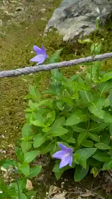 勝林寺(京都府)