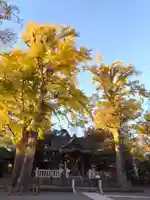 亀岡八幡宮(亀岡八幡神社)(神奈川県)