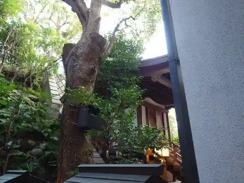 雉子神社(東京都)