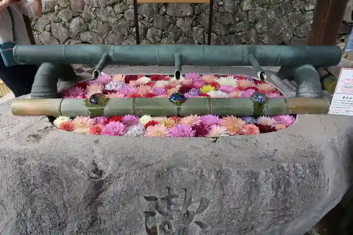 岡寺(龍蓋寺)(奈良県)