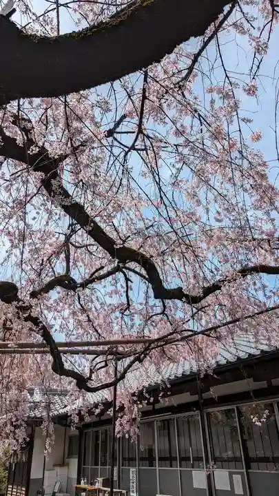水火天満宮(京都府)