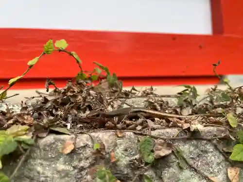 霧島神宮(鹿児島県)
