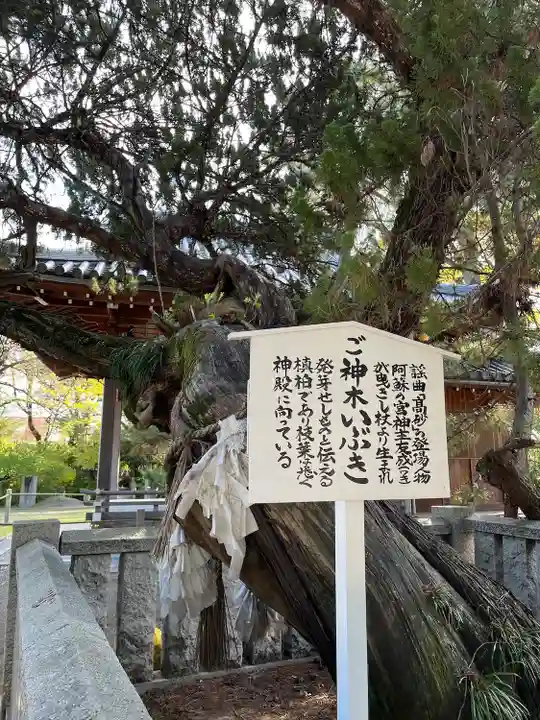 高砂神社(兵庫県)