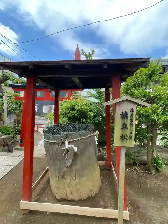 由比若宮(元鶴岡八幡宮)の{uncategorized: "未分類", other: "その他", undefined: "問題あり", building: "その他建物", grave: "お墓", sacred_gate: "鳥居", guardian: "狛犬", statue: "像", buddha: "仏像", history: "歴史", nature: "自然", garden: "庭園", animal: "動物", pagoda: "塔", temizu: "手水舎", mountain_gate: "山門・神門", sanctuary: "本殿・本堂", subordinate: "末社・摂社", art: "芸術", scenery: "景色", jizo: "地蔵", ema: "絵馬", goshuin: "御朱印", omikuji: "おみくじ", items: "授与品その他", amulet: "お守り", goshuincho: "御朱印帳", eats: "食事", festival: "お祭り", votive_dance: "神楽", shichigosan: "七五三参", wedding: "結婚式", experience: "体験その他", initially: "初詣", around: "周辺", anti_infection: "感染症対策"}