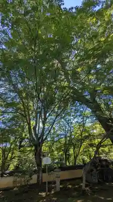 十輪寺(京都府)