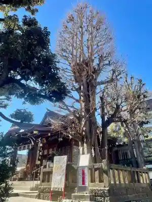 大鳥神社の{uncategorized: "未分類", other: "その他", undefined: "問題あり", building: "その他建物", grave: "お墓", sacred_gate: "鳥居", guardian: "狛犬", statue: "像", buddha: "仏像", history: "歴史", nature: "自然", garden: "庭園", animal: "動物", pagoda: "塔", temizu: "手水舎", mountain_gate: "山門・神門", sanctuary: "本殿・本堂", subordinate: "末社・摂社", art: "芸術", scenery: "景色", jizo: "地蔵", ema: "絵馬", goshuin: "御朱印", omikuji: "おみくじ", items: "授与品その他", amulet: "お守り", goshuincho: "御朱印帳", eats: "食事", festival: "お祭り", votive_dance: "神楽", shichigosan: "七五三参", wedding: "結婚式", experience: "体験その他", initially: "初詣", around: "周辺", anti_infection: "感染症対策"}