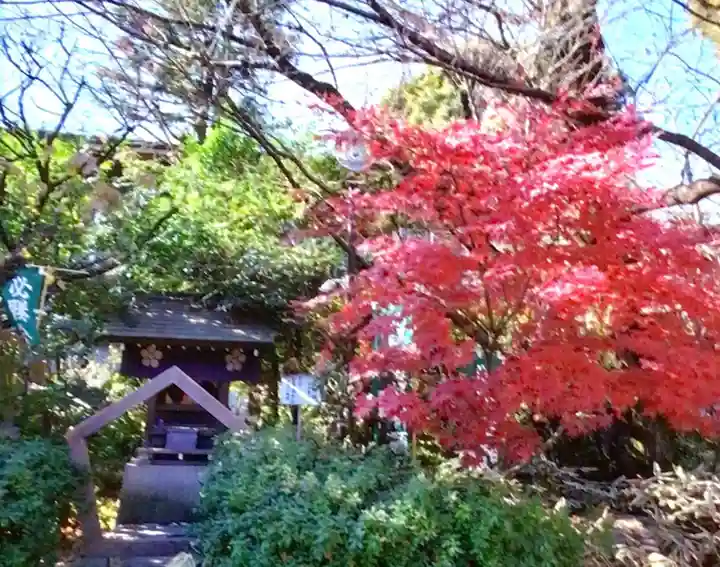 阿佐ヶ谷神明宮(東京都)
