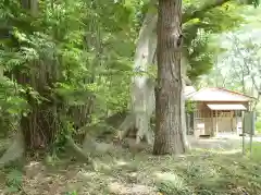 八幡神社の自然