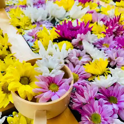 土津神社｜こどもと出世の神さまの手水舎