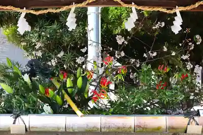 三津厳島神社(愛媛県)