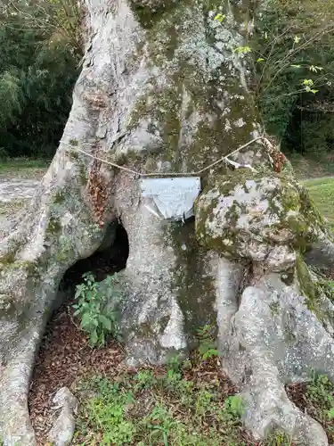 御霊神社の自然