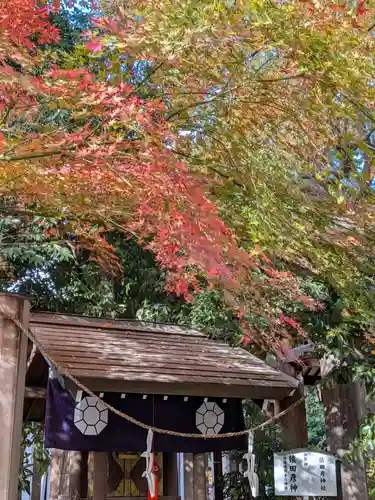 阿佐ヶ谷神明宮(東京都)