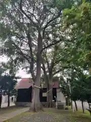 中の島神社(北海道)