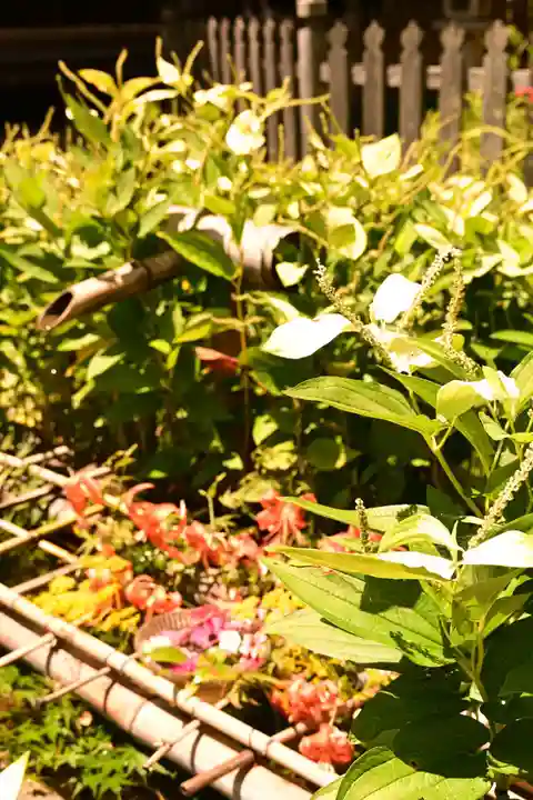 二尊院(京都府)