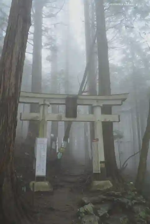 三峯神社(埼玉県)