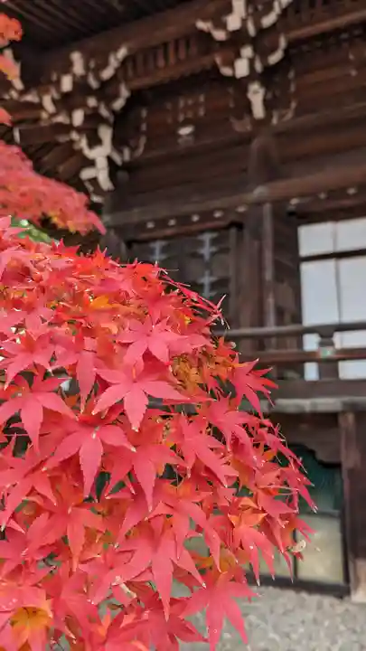 真正極楽寺(真如堂)(京都府)