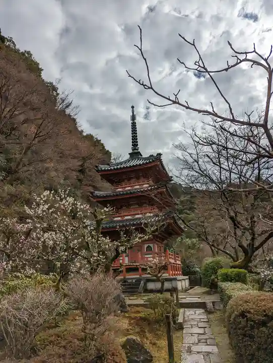 三室戸寺(京都府)