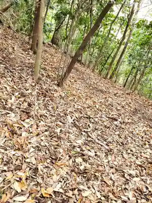 赤城神社 (勧農城跡)(栃木県)