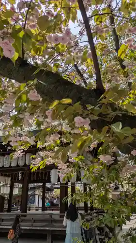 白峯神宮(京都府)