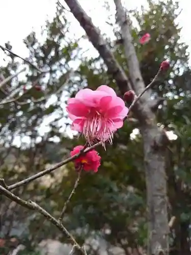 天澤院の庭園