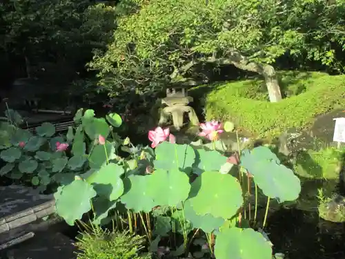 長谷寺の庭園