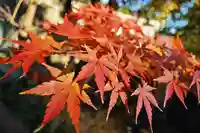 妙建山本立寺(東京都)