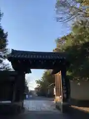 仁和寺の山門