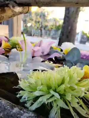 鳩森八幡神社の手水舎