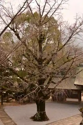 和霊神社(愛媛県)