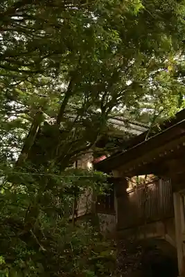 八幡宮(富山県)