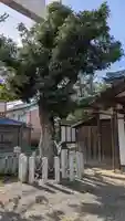 日吉神社(滋賀県)