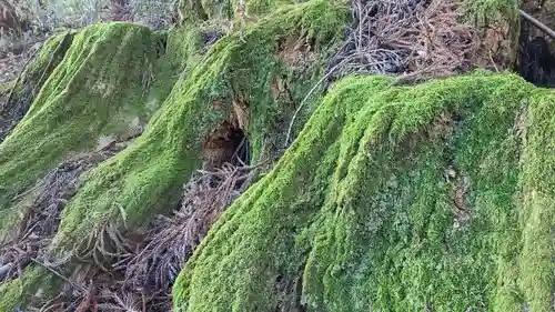 武蔵御嶽神社の自然