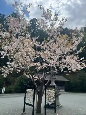 金刀比羅神社の{uncategorized: "未分類", other: "その他", undefined: "問題あり", building: "その他建物", grave: "お墓", sacred_gate: "鳥居", guardian: "狛犬", statue: "像", buddha: "仏像", history: "歴史", nature: "自然", garden: "庭園", animal: "動物", pagoda: "塔", temizu: "手水舎", mountain_gate: "山門・神門", sanctuary: "本殿・本堂", subordinate: "末社・摂社", art: "芸術", scenery: "景色", jizo: "地蔵", ema: "絵馬", goshuin: "御朱印", omikuji: "おみくじ", items: "授与品その他", amulet: "お守り", goshuincho: "御朱印帳", eats: "食事", festival: "お祭り", votive_dance: "神楽", shichigosan: "七五三参", wedding: "結婚式", experience: "体験その他", initially: "初詣", around: "周辺", anti_infection: "感染症対策"}