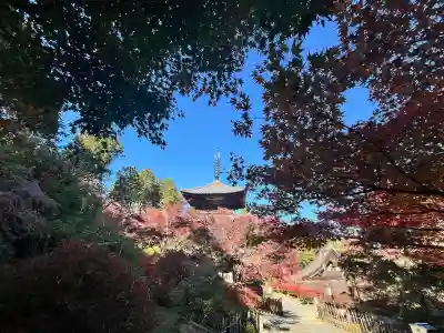 常樂寺(滋賀県)