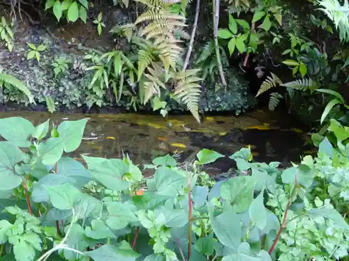 白笹稲荷神社の自然