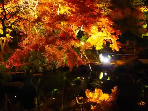 長谷寺の庭園