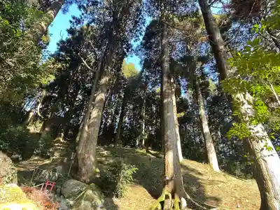 脊振神社(佐賀県)
