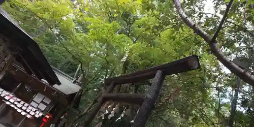 野宮神社の鳥居