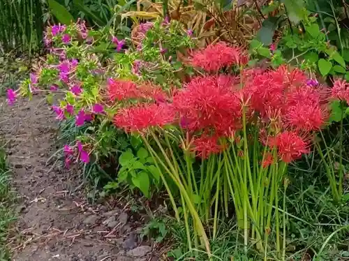 刺田比古神社の自然