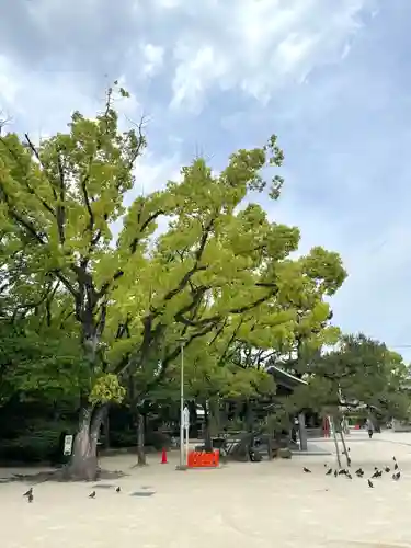 筥崎宮(福岡県)